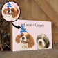 Draw Dogs or Any Pets Into Cartoon Portrait - Custom Art Pet Portrait Print On Rectangle Wood Block (Two-Pet Portrait)