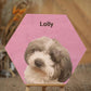 Draw Dogs or Any Pets Into Cartoon Portrait - Personalised Pet Wood Block - Hexagon